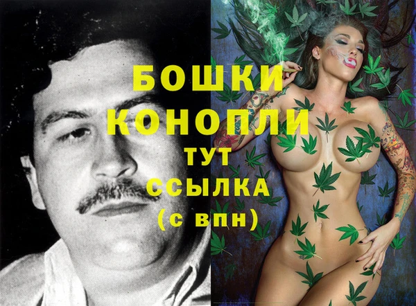 амф Коряжма