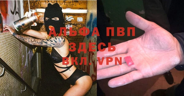 спиды Алзамай