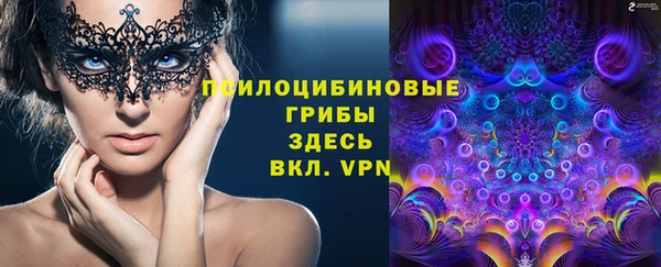 прущая мука Абаза