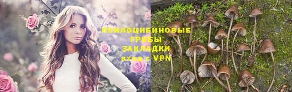 прущая мука Абаза