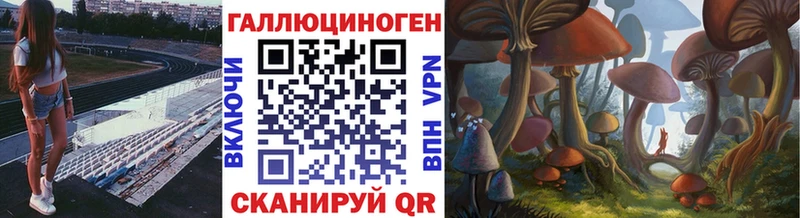 где продают наркотики  Кызыл  Псилоцибиновые грибы Cubensis 